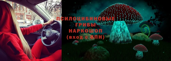 круглые Абаза